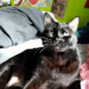 Meet your Posher, Bobbi